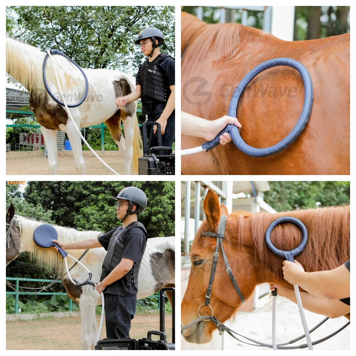 Portable Pemf Magnetic Therapy Device Pmst Loop Horse Magnetic Therapy Pemf Machine