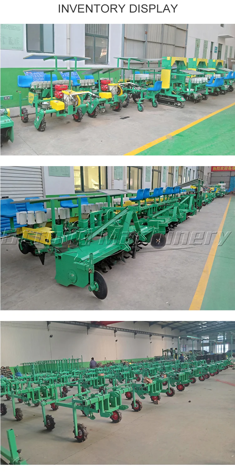Tractor Trailed Vegetable Seeder Sowing Machine 6 Row Onion Planter Seeder