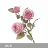 Rose Red - 3-Headed Royal Rose