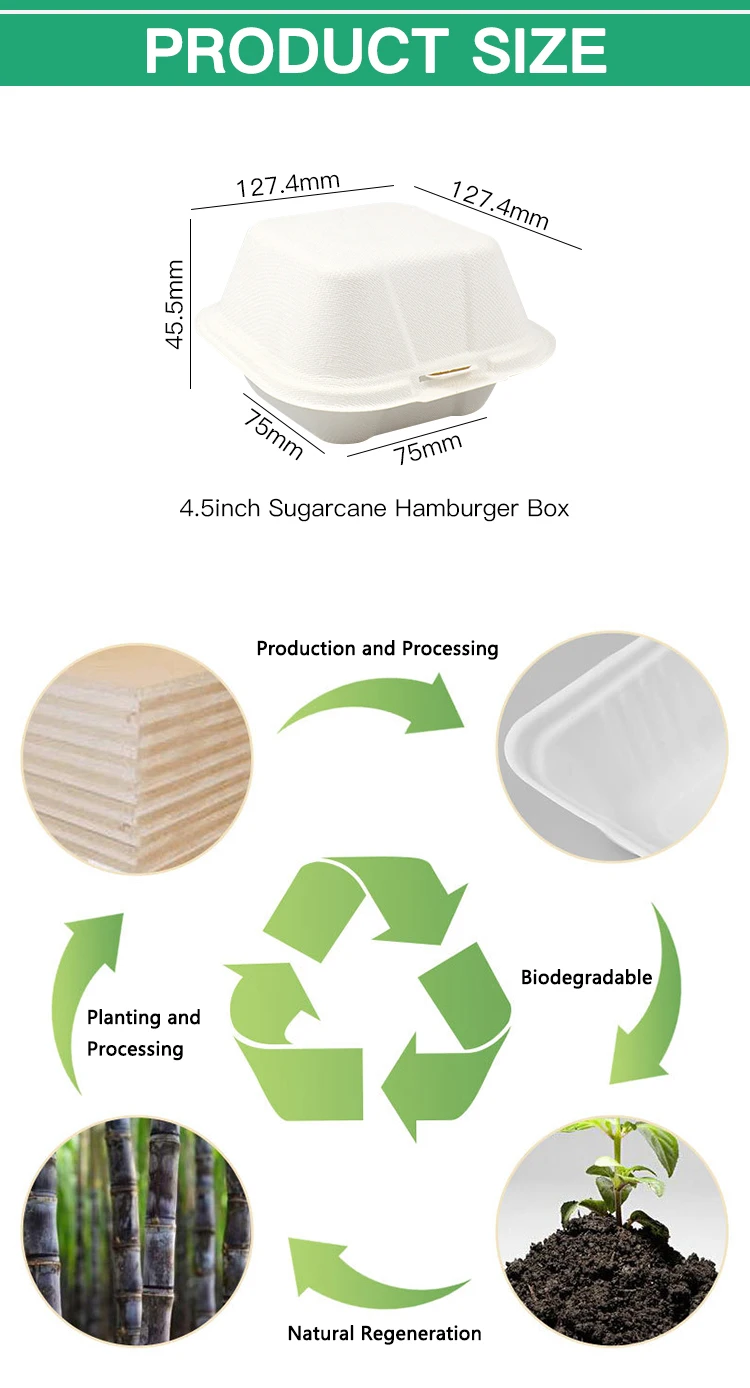 Disposable Sugarcane Food Containers Biodegradable 6 Inch Bagasse ...