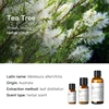 Tea Tree (Australia) 10ml
