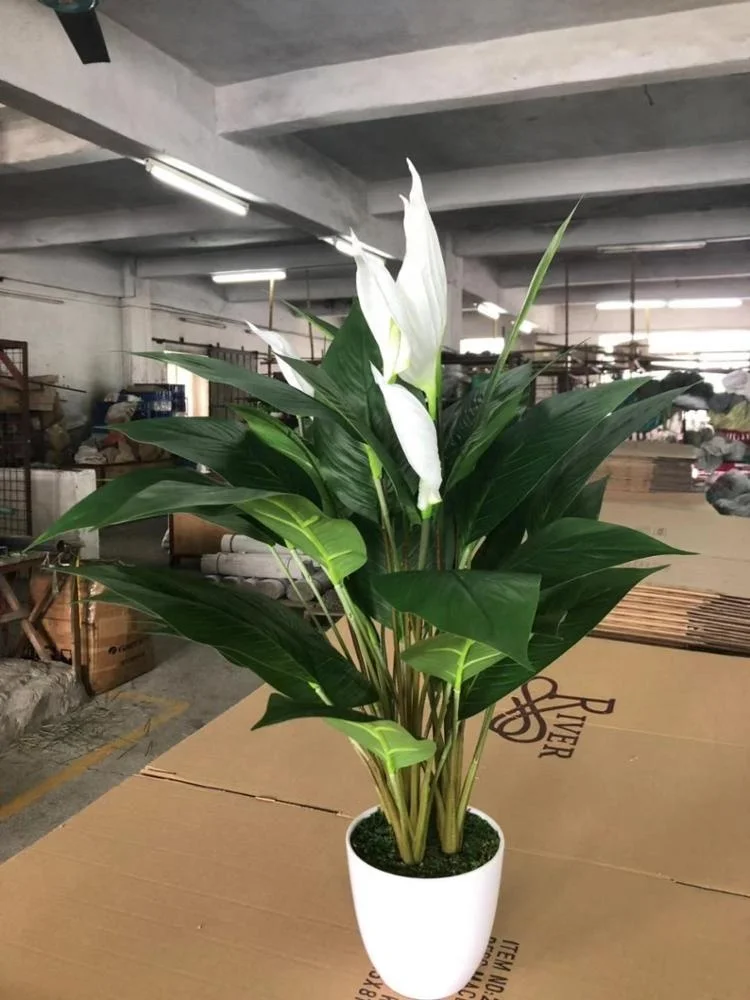 Artificial Peace Lily Plant Peace Lily Flower White Flowers Buy