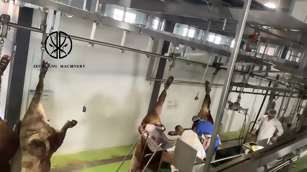 Factory Price Muslim Halal 100 200 Cattle Slaughterhouse Equipment Of