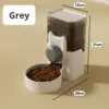 Gray eat