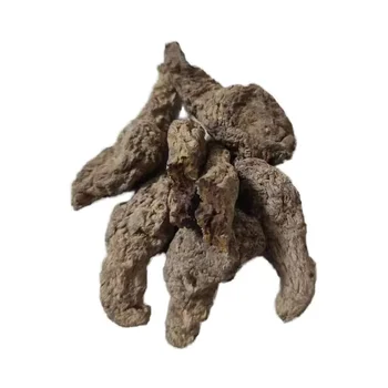 Wholesale Cheap Rehmanniae Herb Dry roots of Rehmannia in natural form