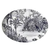 14 inch oval plate
