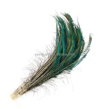 帽子と工芸品のための卸売天然孔雀の羽25-40cm孔雀の剣の羽| Alibaba.com