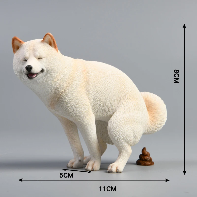 shiba 