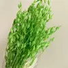 Verde chiaro