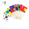 Toothpick Flag