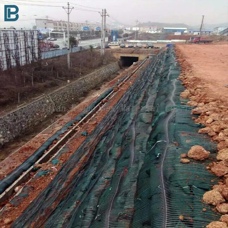 Global selling for road mine soft foundation reinforcement bidirectional tensile plastic geogrid manufacturers direct price manufacture