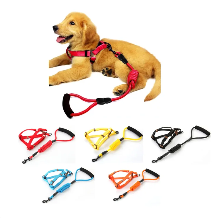 easy walk dog harness amazon