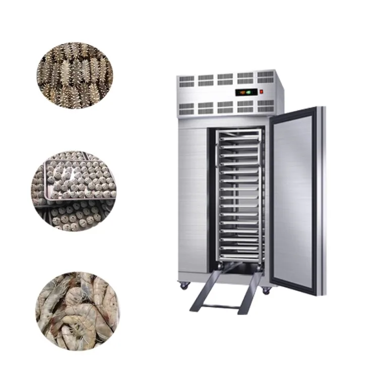 High Output  Minus 50 Degrees Celsius Blast Freezer Conveyor Foshan