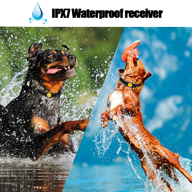 dog barking remote control