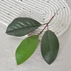 Film Feuille de Magnolia - 3 Fourchettes