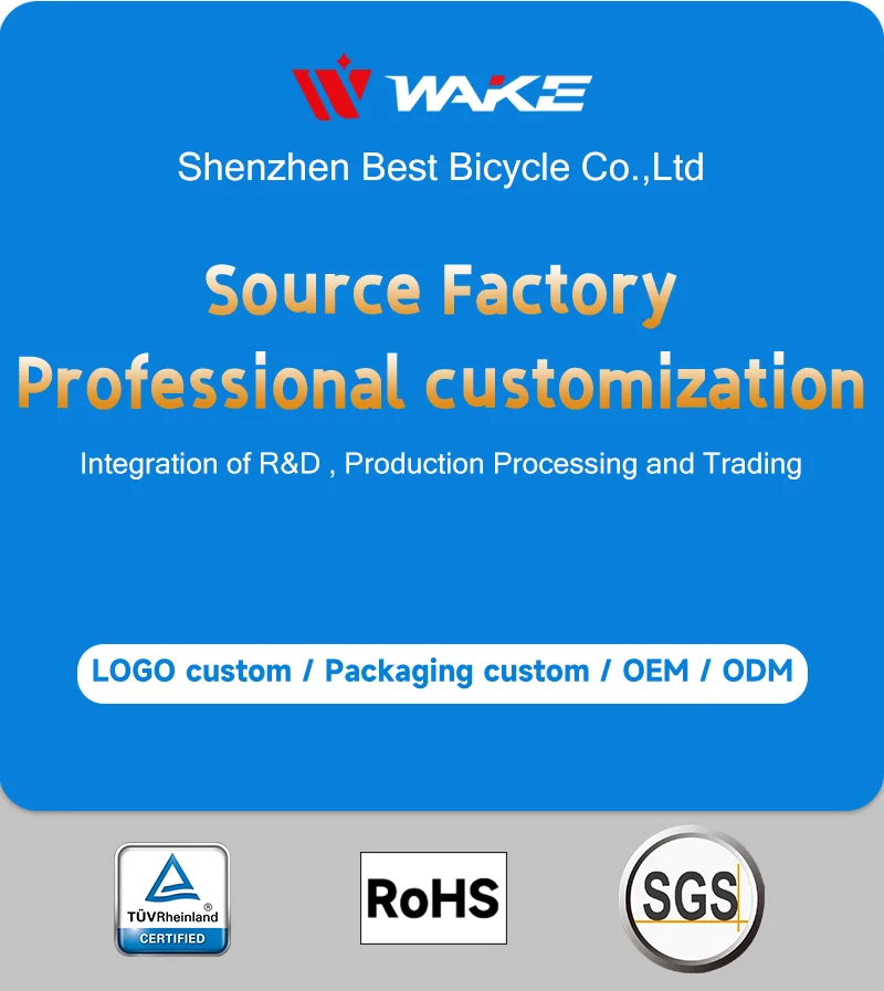 Wake Suspension Spring Fork Pneumatic Shock Absorbing Mtb Bicycle Front