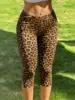 Leopardo marrone 1