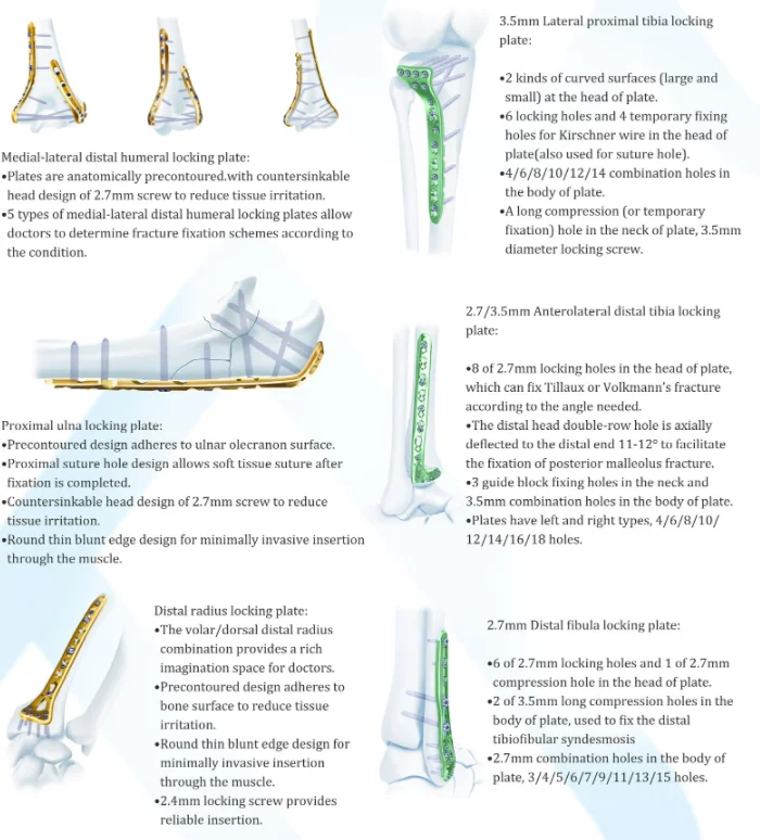 Products Description Image 3