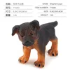 T15061 Chiot Collie 14g