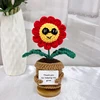 red glasses daisies plant(no base)