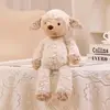 light face sheep