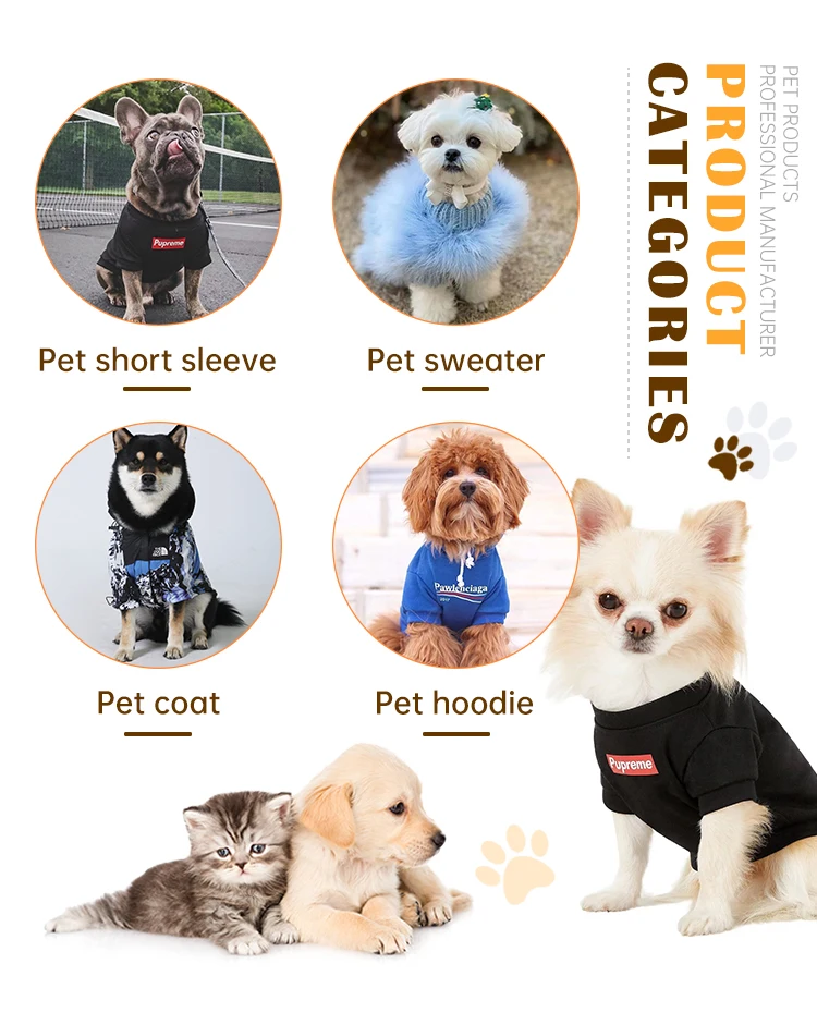 Designer Luxury Brand Dog Toys Cute Pet Dog Chewing Squeaky Toy Plush