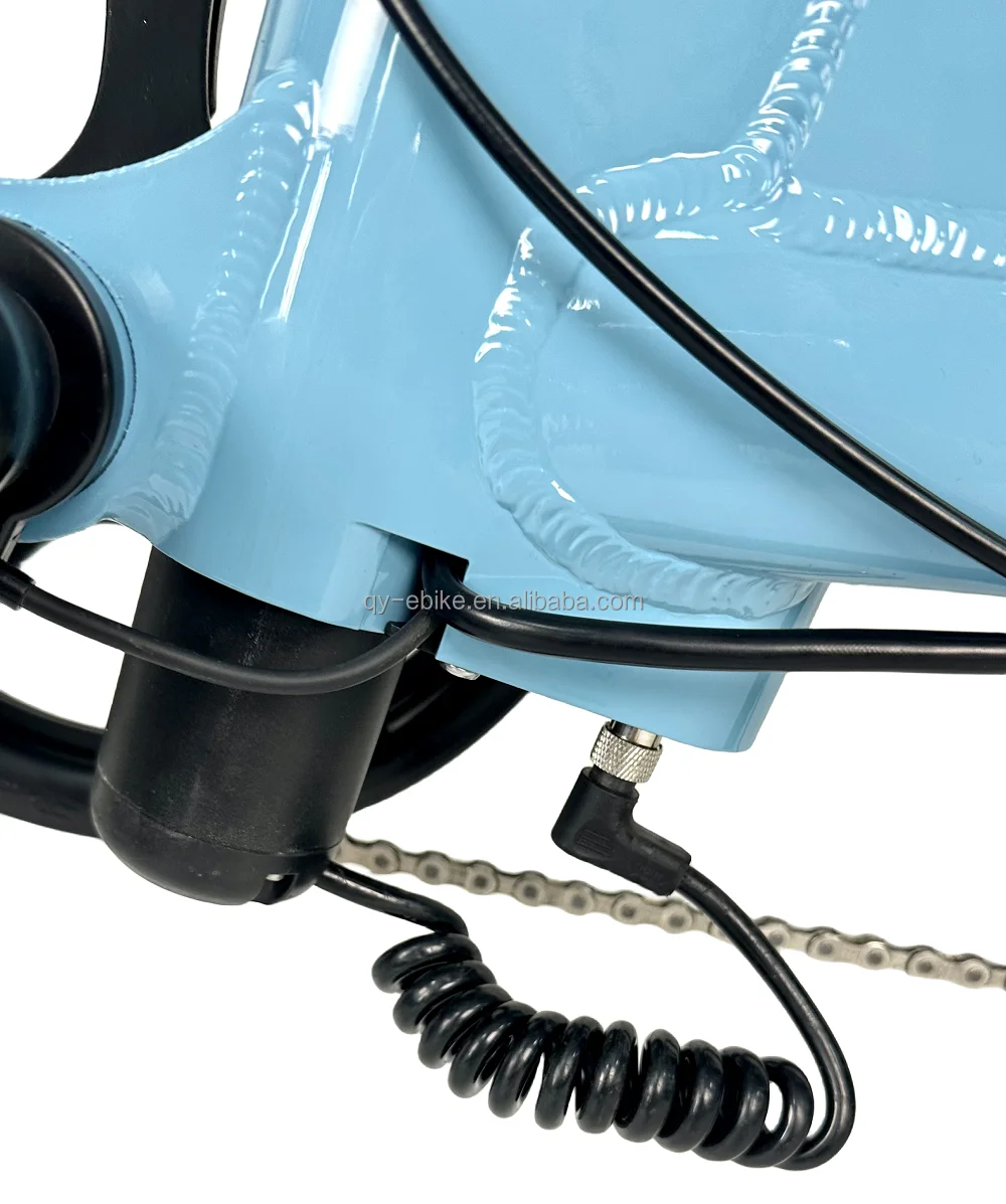 Queene Electric Bicycle Stock 250w 36v 20 Inch Magnesium Alloy Drive