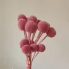 Dark pink