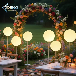 High Quality Indoor/Outdoor RGB LED Wedding Lights IP65 Festival & Party Decorations Remote Control for Christmas Other Holidays