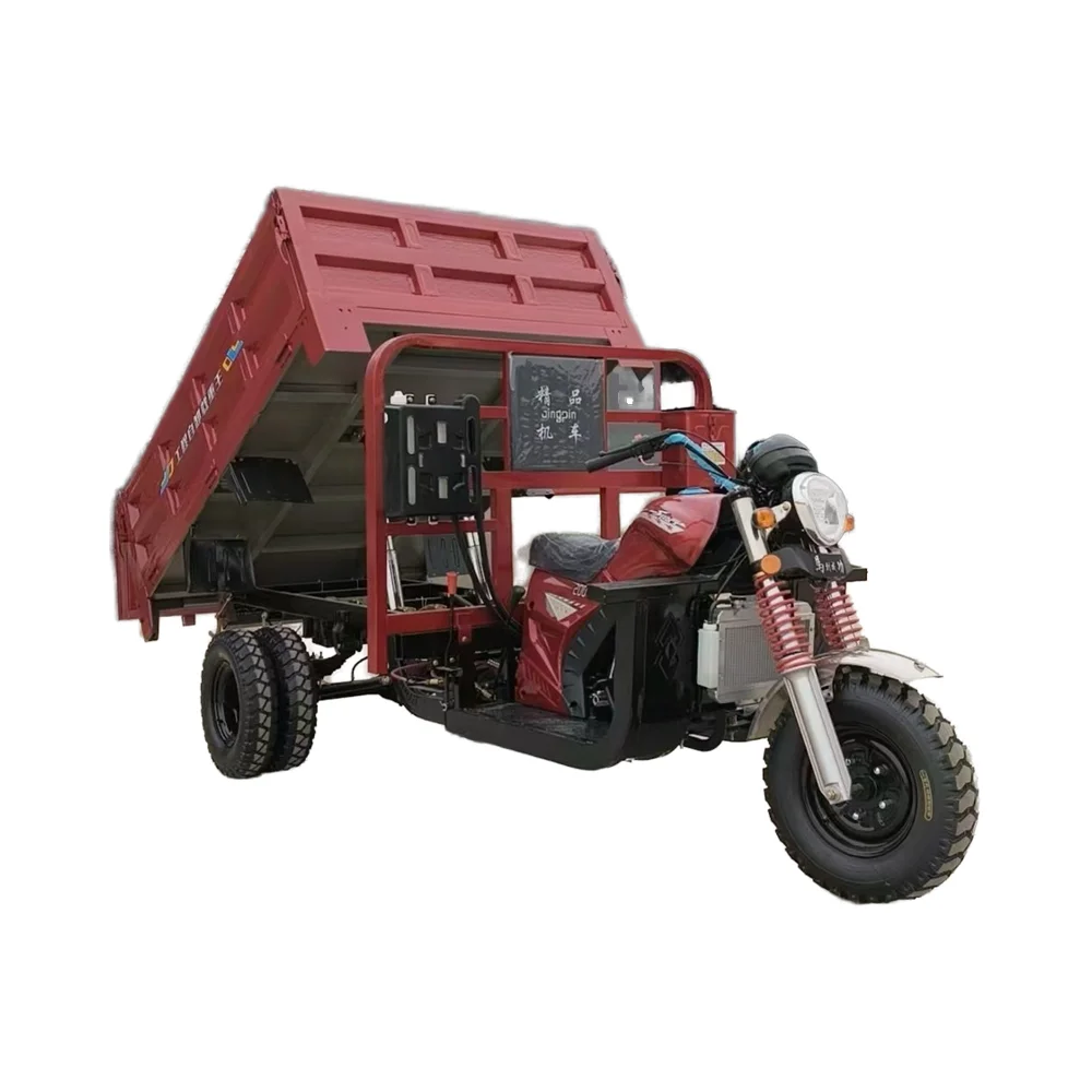 300cc Diesel Cargo Tricycle - Durable & Efficient Delivery