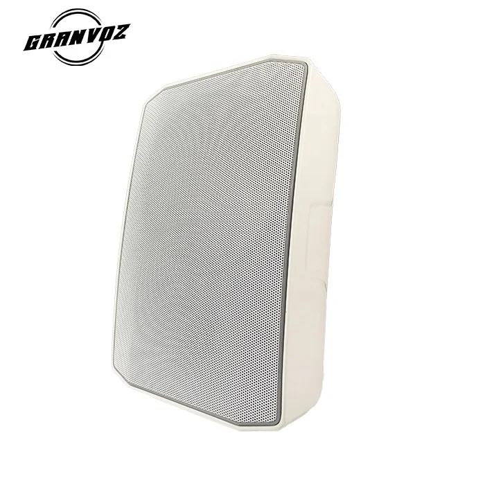 Professional New Mountable Midrange Two Way Slim Audio Fansion Style Wall Speaker
