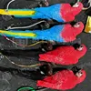 Couleur personnalisée