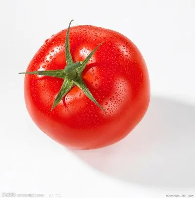 Hybrid tomato seed with high yield heat tolerance and ToMV resistance
