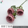 Austin Rose Y Rose poussiéreux