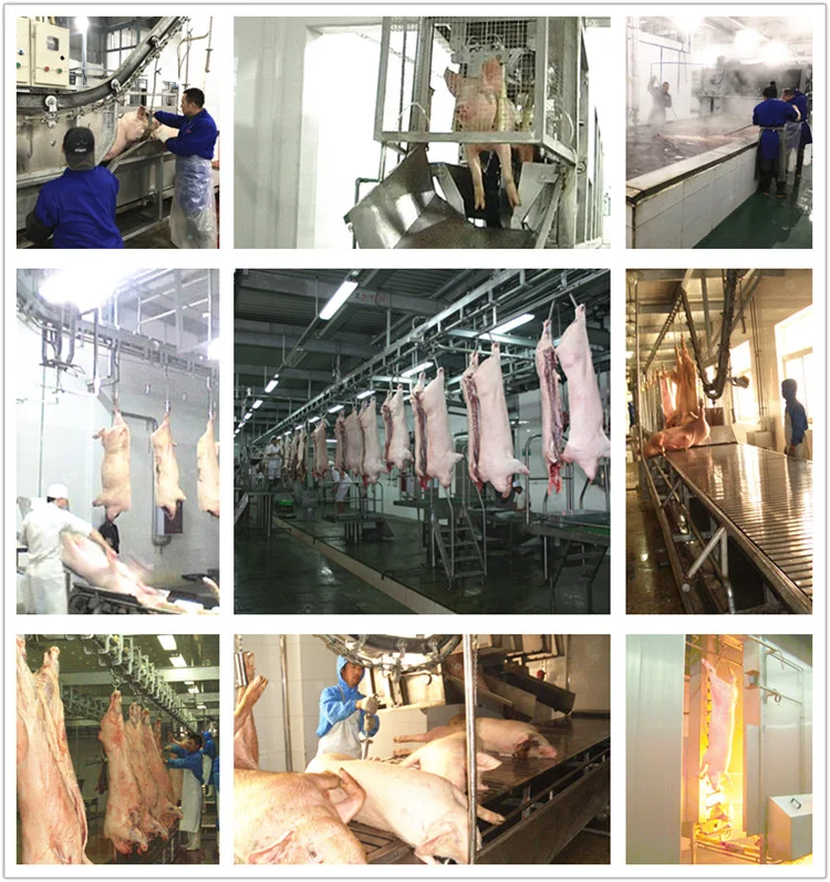 Factory price meat processing equipment slaughtering production line pig bone removal conveyor