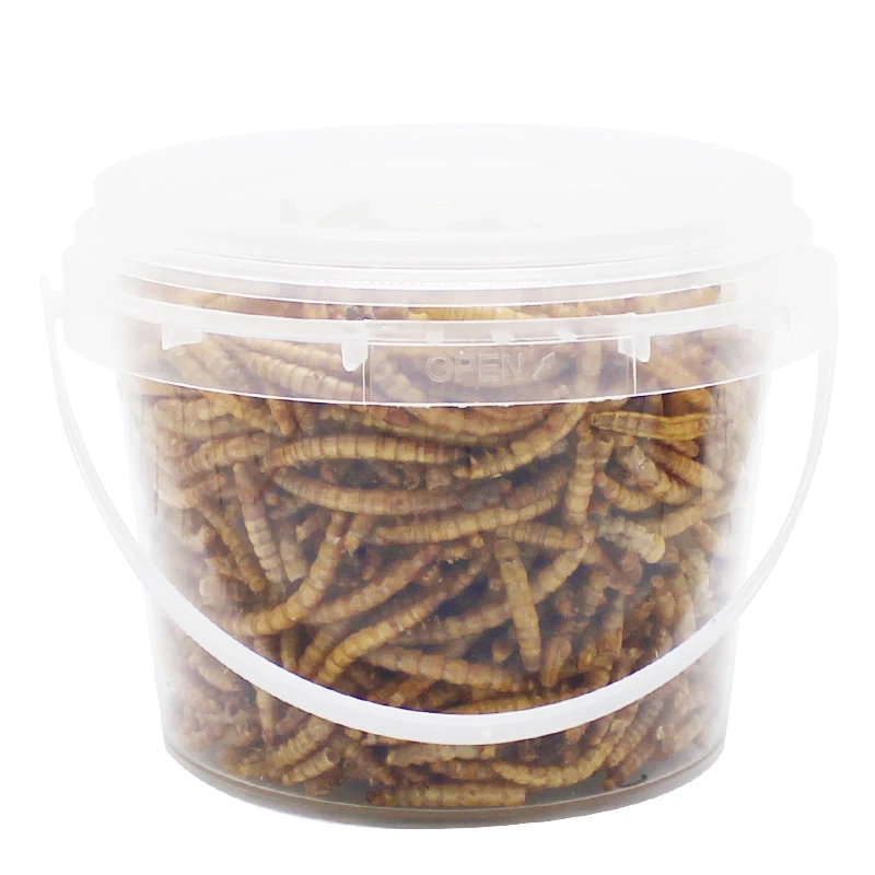 Highprotein Mealworms For Wild Bird,Chicken,Ducks,Fish,Reptile