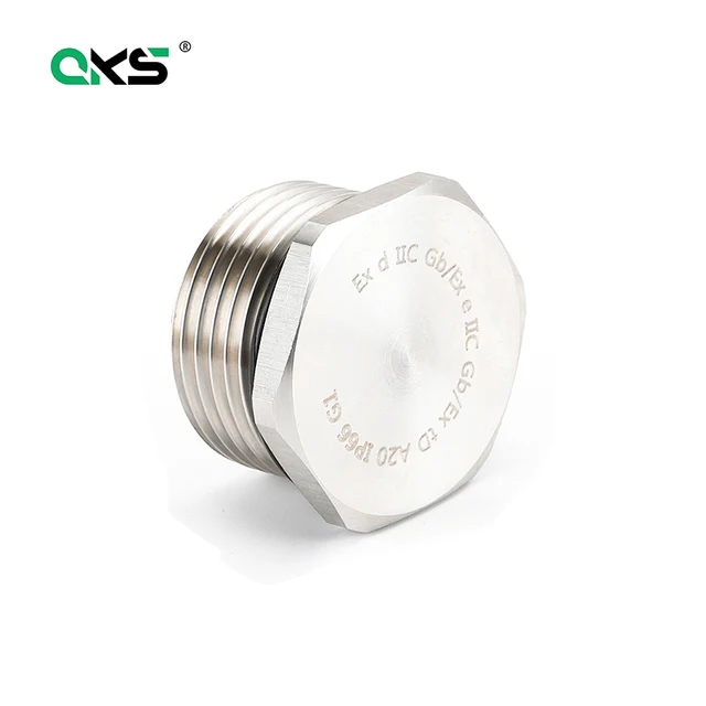 Stainless steel plug Cover gland Blind plugs explosion proof cable glands type NPT/M/G thread NPT1/2 M20 PG13.5 Atex Vent Plug