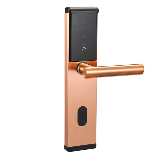 Smart Finger Print Salto Lock Systems