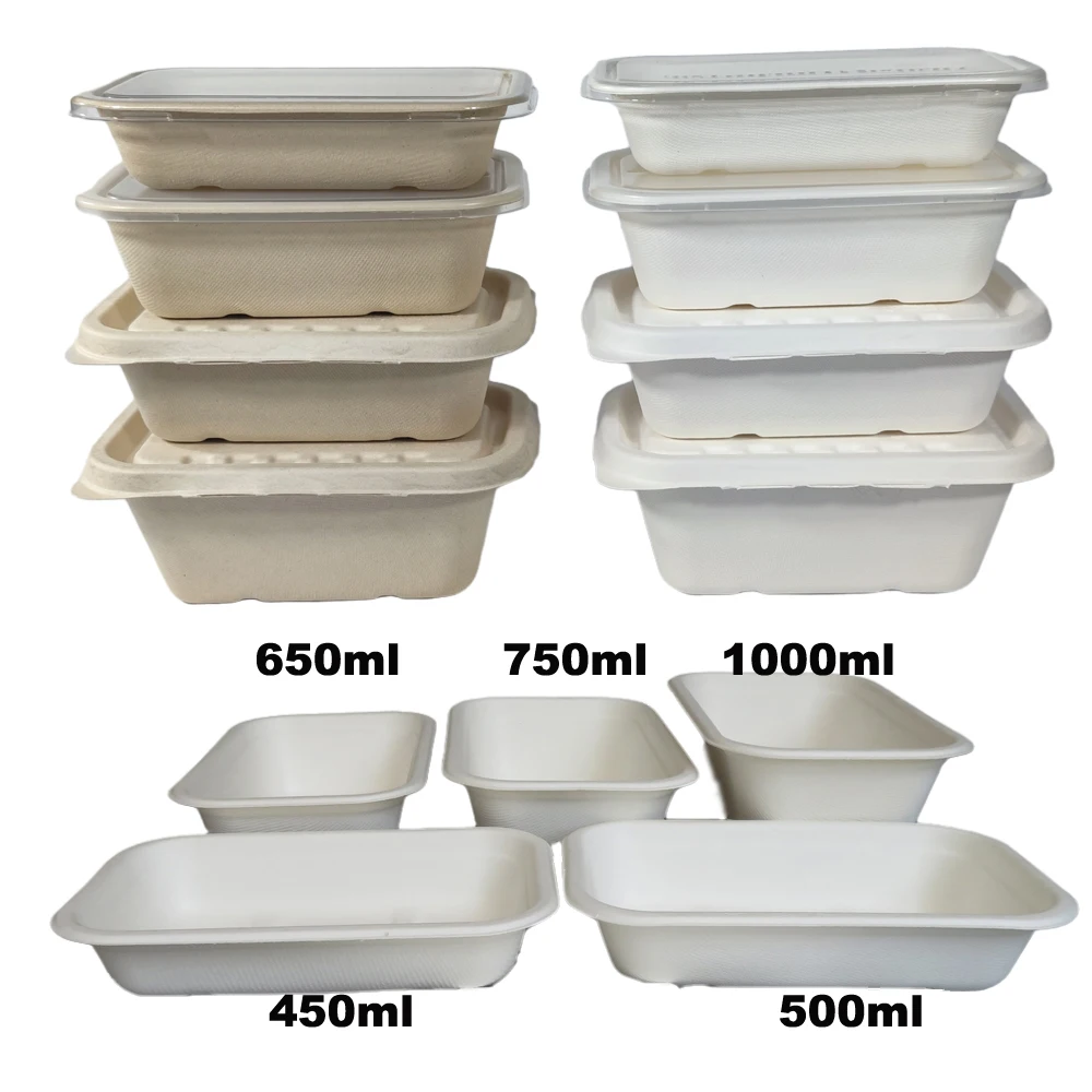 Disposable Biodegradable Food Container Manufacturers, Suppliers