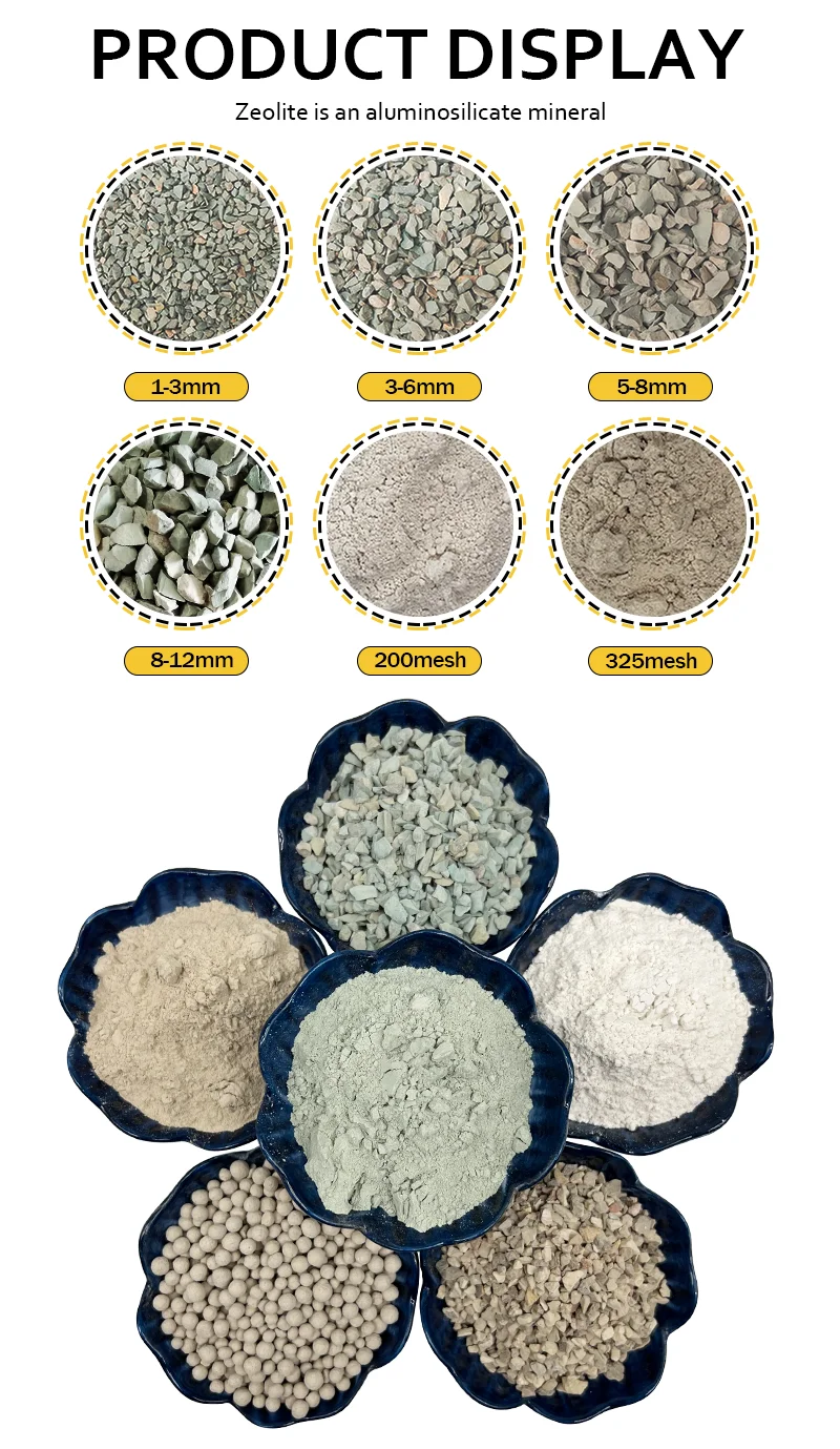 Manufacturer Supply 325 Mesh White/Green Natural Clinoptilolite Zeolite Powder Price For Water Filter supplier