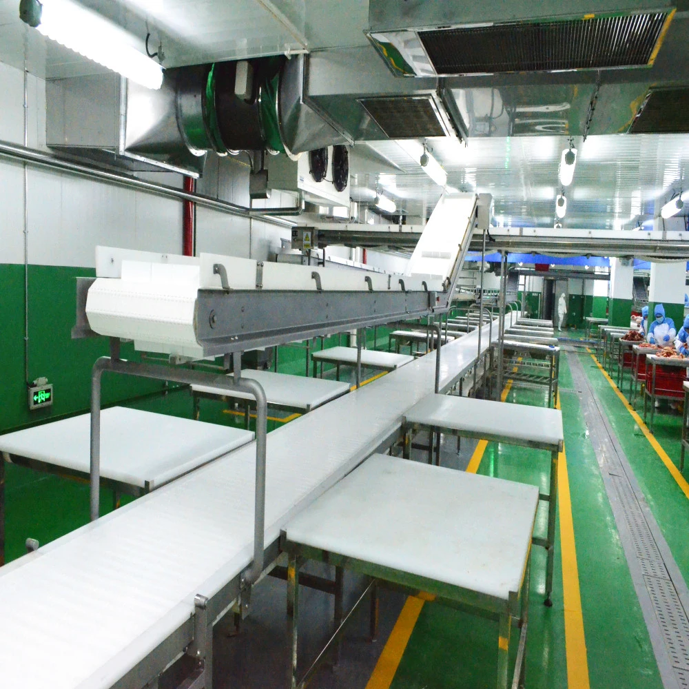Cattle slaughtering operations in meat processing plants, and slaughterhouses with slaughtering equipment
