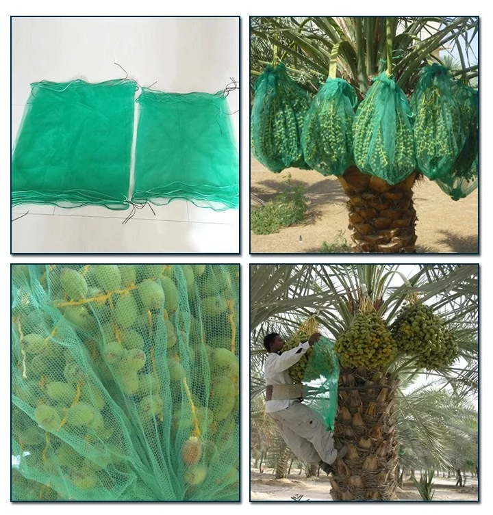 Anti-Bird 70*90cm 80*100cm Protect Mono Mesh Net Date Palm Bags