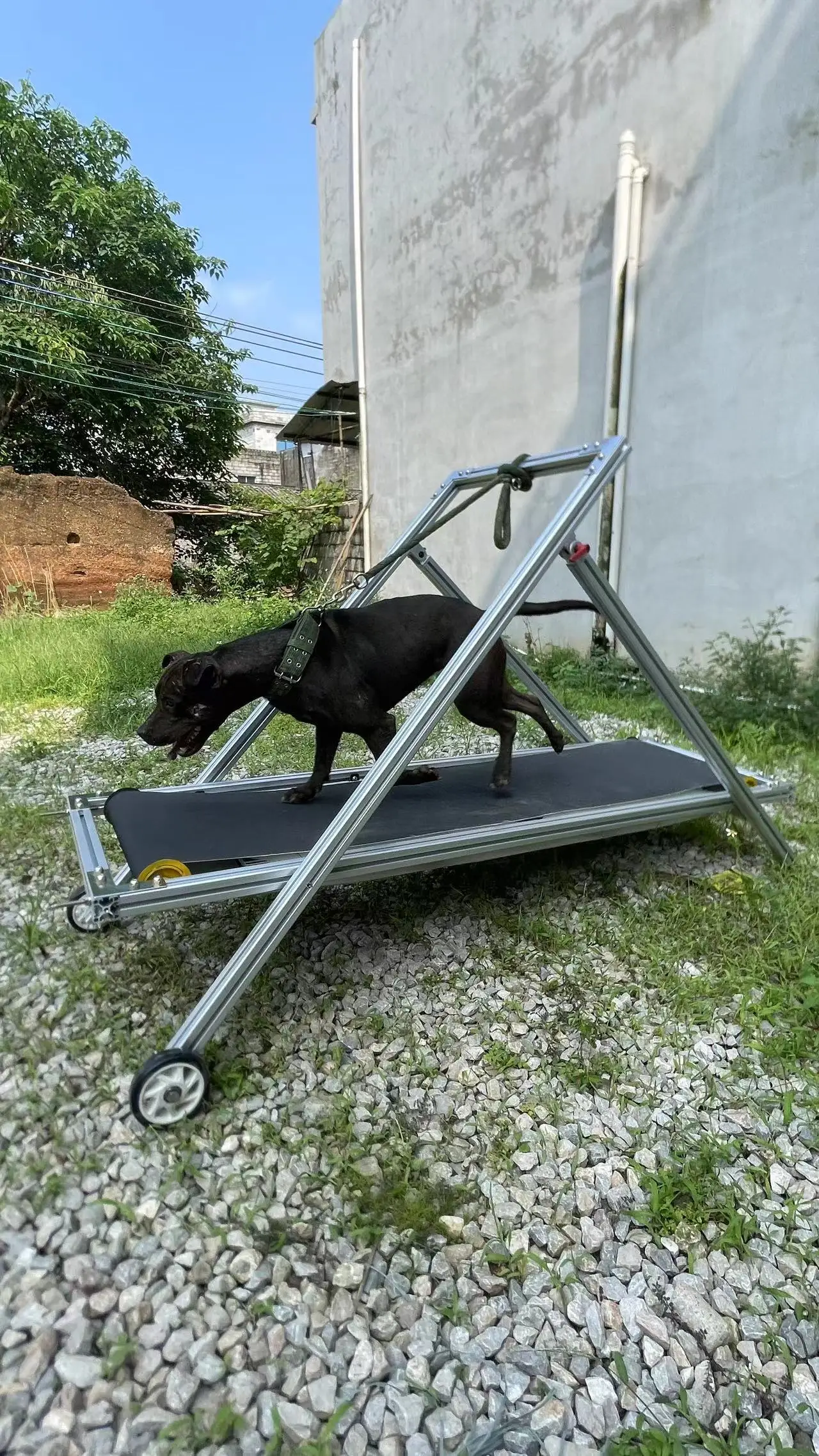 Eco-Friendly Folding Dog Treadmill Carpet Mill for Dogs OEM