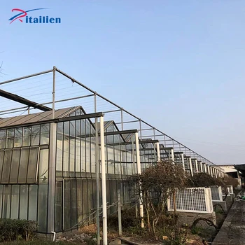 Hot Sale Agricultural  Film Greenhouse or agriculture  with hydroponic system