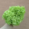 Verde chiaro