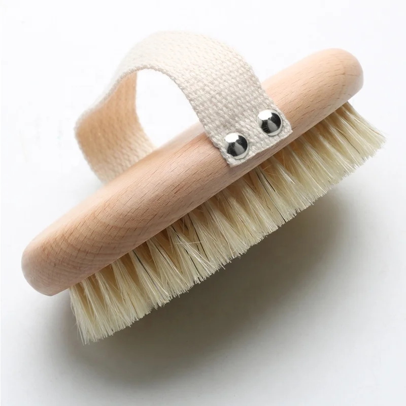 bananenpflanze online kaufen Musa dwarf (Bananenpflanze) kaufen