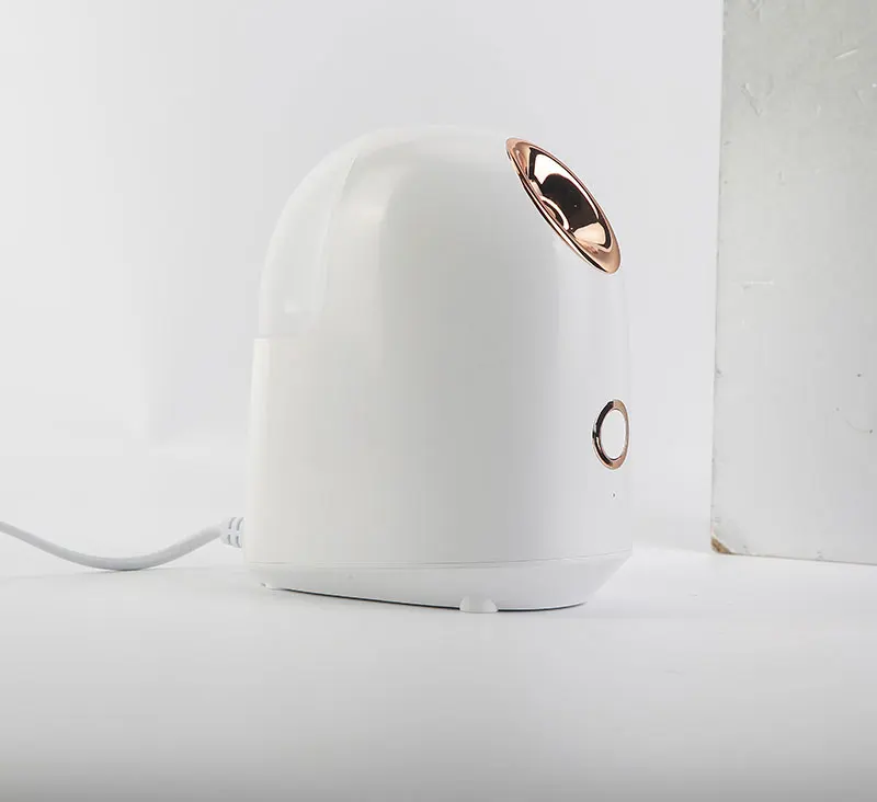 Бесплатный образец, ионная Глубокая очистка, мини портативные эфирные масла, теплый отпариватель для лица, Лидер продаж