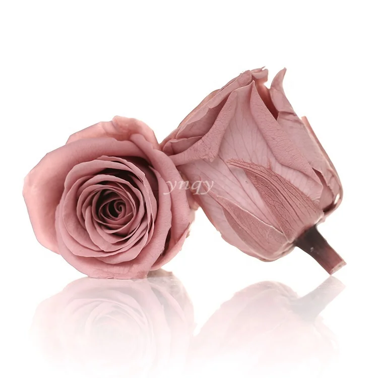 Decorative Flowers Customized Preserved Rose Head All Colours Preserved Forever Rose Head For Making Diy Flowers Boxes Buy Preserved Rose Head All Colours Preserved Forever Preserved Forever Rose Head Product On Alibaba Com