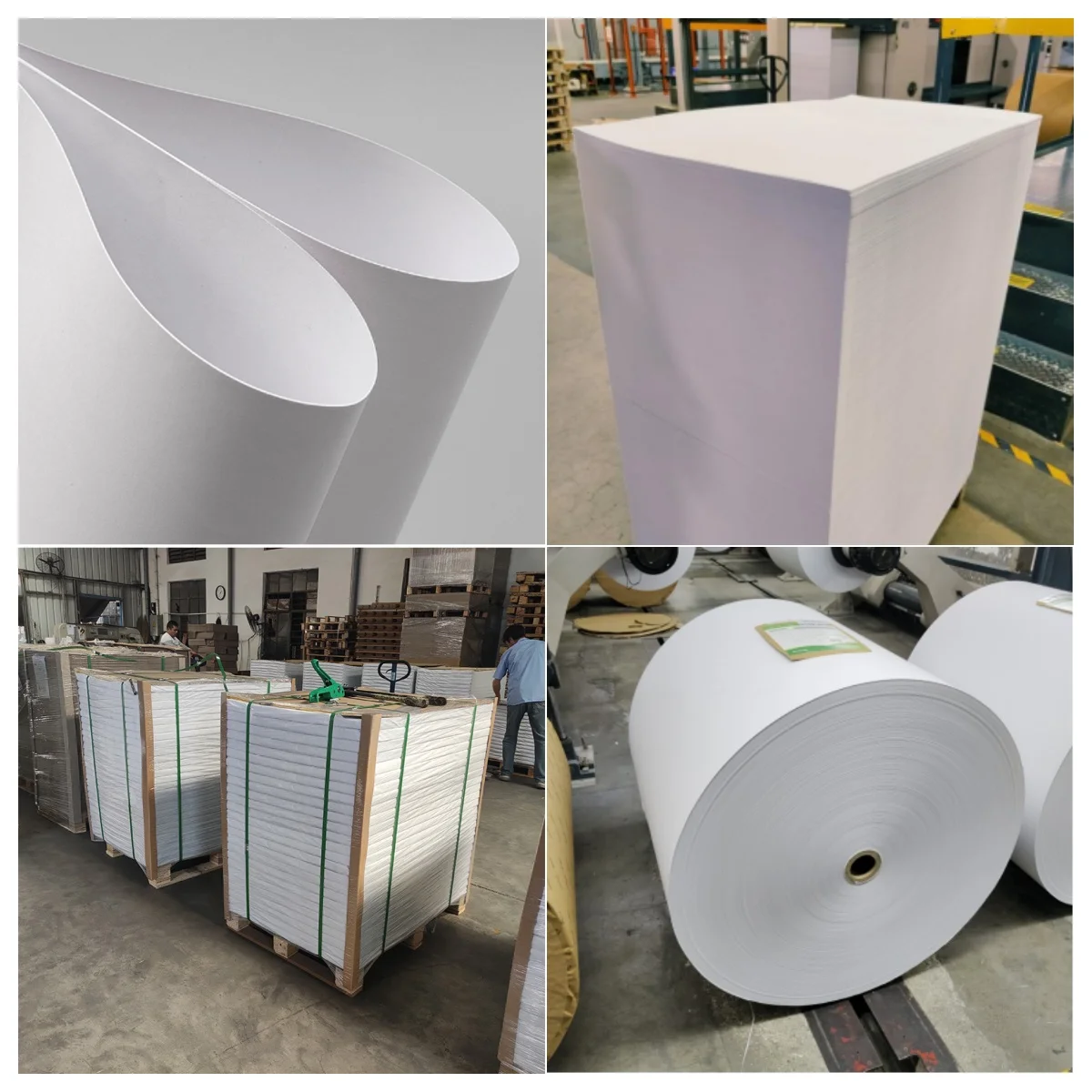 Custom Offset Printing Paper - Coated Jumbo Roll & Sheet