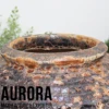 Orange Rust